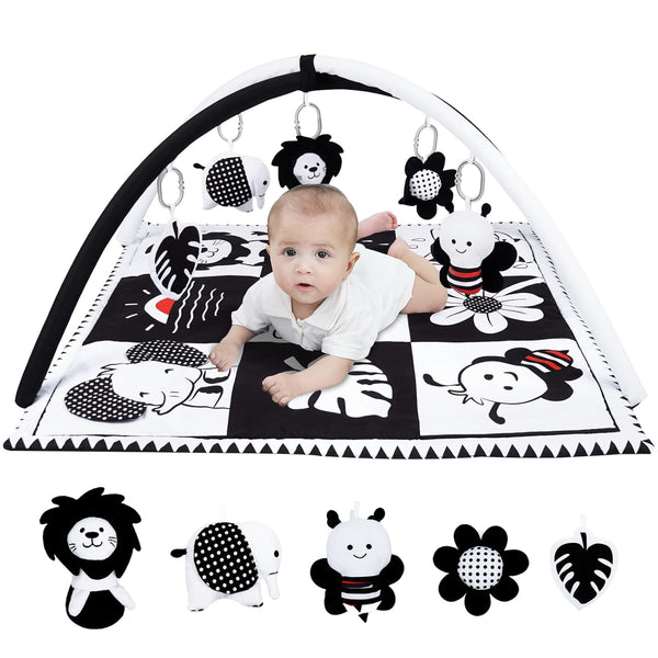 Lovvie & Joy Baby Play Activity Gym Tummy Time Mat for Infant,Baby