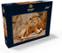 MyPuzzle A Lion Relaxing On A Stone - Premium 1000 Piece Jigsaw Puzzle for Adults