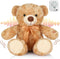 Liliful 12 Inch Plush Bear Stuffed Animal, Recordable Sound Module, Brown Bear Soft Doll for Party Gift
