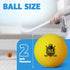Mini Hockey Balls - 6 Soft Foam Balls for Knee and Floor Hockey - 2" Indoor Mini Hockey Balls