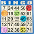 500 (100 5 4"x4" JUNWRROW Bingo Paper Game Cards - Sheets Books of Colors) - Disposable Cards- Ideal for Seniors