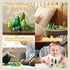 Pack 8 Set 36+ Wooden Tree Toy of Wood Miniature Tree Various Sizes Natural Wooden Trees Mini Trees for Home Decor