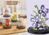 Jollcnoia Set Lily Bloom Home Bouquets Dust Cover Building Toy Creative Assembly Bonsai Tree, Ideal for Valentine's