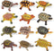 Liberty Imports 12 Piece Miniature Sea Turtle Animal Toys - Hand Painted Tortoise Figurines for Kids Party Favors