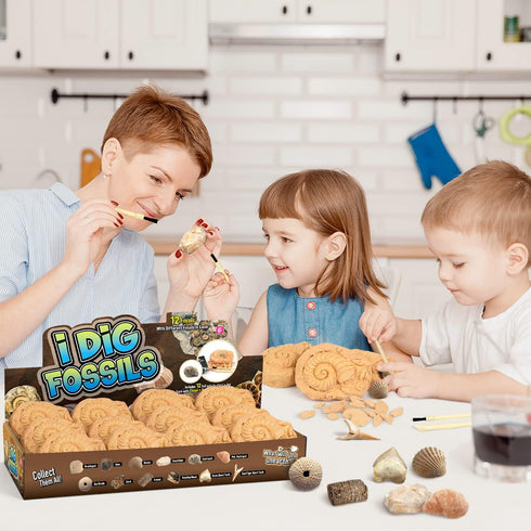 Byncceh Fossil Dig Kit - Educational STEM Science Toys for Kids Ages 6+ - Dig Up 12 Fossils Real & Dinosaur Bones Rocks - Digging Activities Kits - Paleontology, Discovery Gifts for Boys & Girls