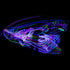 Light Up LED Hula Hoop, Hand Crafted in Michigan with Beautiful Auto Strobing Rainbow Lights
