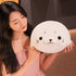 CAZOYEE Super Soft Seal Plush Pillow, Stuffed Animal for Kids and Adults, Plushies Decoration, 19.6”