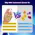 195PCS 3+ Amy&Benton DIY Sticky Balloons with Pump, Space Rocket Balloon the Funny Inflator Toy, Magic Balloon Maker