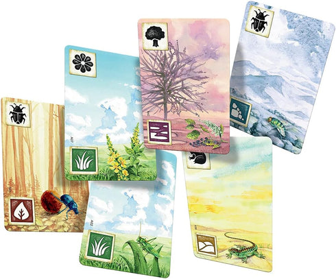 Meadow Board Game - Nature Observing Drafting and Set Collection Game, Strategic Exploration, Fun Family Game for Kids