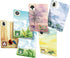 Meadow Board Game - Nature Observing Drafting and Set Collection Game, Strategic Exploration, Fun Family Game for Kids