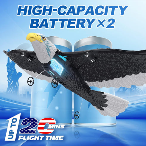 2.4GHZ 2CH 2 6-axis DEERC RC Plane, Remote Control Eagle Plane, RTF Airplane, Flying Bird with Batteries & Propeller