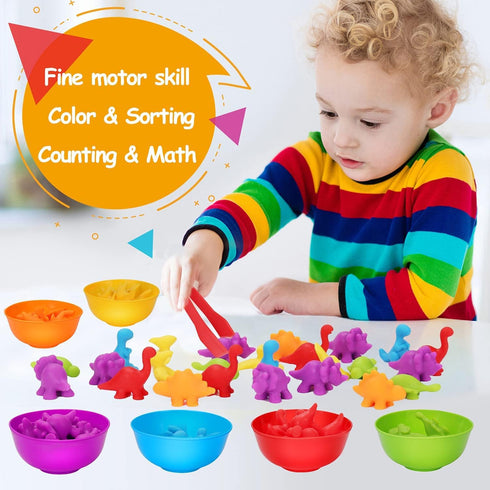 Counting 3 4 5 2-4 3-5 4-8 Dinosaurs Montessori Toys for Years Old Boys Girls Toddler Manipulatives Preschool Learning