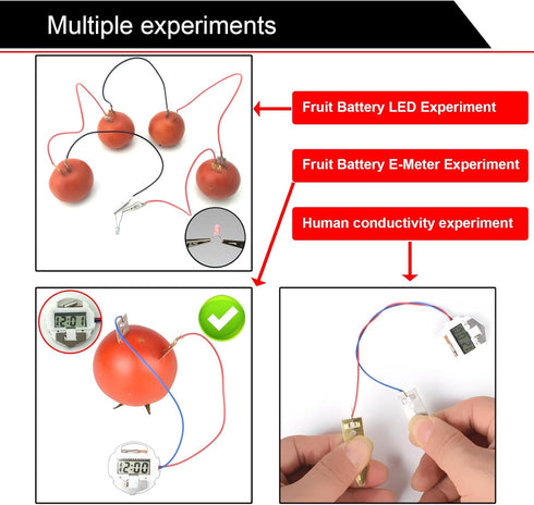 EUDAX Fruit Battery Science Experiment Kit - DIY Home Teaching Toy for School Science Project