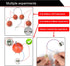 EUDAX Fruit Battery Science Experiment Kit - DIY Home Teaching Toy for School Science Project
