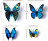 24pcs 3D Vivid Butterfly Art Wall Stickers, DIY Decor for Nursery, Bathroom & Office