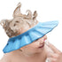 Soft Adjustable Baby Shower Cap, Bath Head Cap Visor for Washing Hair, Toddler Bathing Protection (Blue)