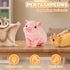 6PCS Animal Toys for Toddlers, Sensory Toys Cute Farm Animal Figures Pocket Pets Toys for Kids Includes Dog, Rabbit