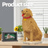 HJPLPXH Set (3024 Animal Dog Adorable Pet Golden Retriever Micro Building Blocks Pieces) with Secret Hidden Storage Box