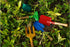 Doiaz Set Kidz Gardening Tool Gardening Tools Kit Includes Shovel, Rake, Fork Trowel, Children'z Garden Kit with Sun