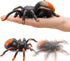 Liberty Imports RC Moving Tarantula Spider - Kids Wireless Remote Control Toy for Halloween Pranks
