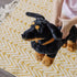 Melissa & Doug Giant Dachshund - Lifelike Large Stuffed Animal Dog
