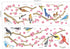 DECOWALL DWL-2009 Garden Birds and Cherry Blossom Wall Stickers, Peel and Stick Removable Decals for Kids Nursery &