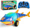 suangrc RC Shark Car Toy for Kids, 2.4Ghz Remote Control Shark with