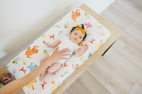 Premium Knit Changing Pad Cover by Copper Pearl, Soft & Stylish Universal Fit, Trendy Design, Sesame Friends