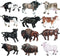 Hiawbon 12 Pcs Miniature Cattle Figurines Set - Mini Cow Models Plastic Cattle Models