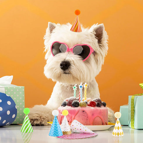 10 PCS Colorful Mini Party Hats for Stuffed Animals Lovely Paper Cone Tiny Birthday Hats for Stuffed Animals Pets Baby