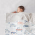 Carseat-30x40 Inches DuShow Cars Baby Blanket for Boys - Ultra Soft Double Layer Minky Blanket with Dotted Backing