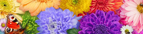 300 Ceaco Flower Spectrum PC Puzzle