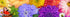 300 Ceaco Flower Spectrum PC Puzzle