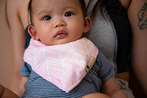 Blue Wren Baby Bandana Drool Bib 5-Pack with MAGNETIC Closure - Safe, Easy, Chic Teething Bib for Boys, Girls, Unisex