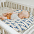 Summer Blue Lobster Baby Nursing Pillow Covers for Boy Girl Nautical Marine Animal Nursery Slipcovers for Breastfeeding