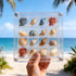 LullaBlock 2 Pack Beach Sand Sifter with Seashell Bags & Shell Display Case, Beach Toys for Kids Beach Seashell