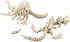 5PCS 3D 3D 3D PowerTRC Printed Dinosaur Skeletons, T-Rex Triceratops Stegosaurus Velociraptor Spinosaurus Fidget Toys