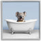 Stupell Industries Baby Koala in Bathtub Framed Giclee Art by Roozbeh