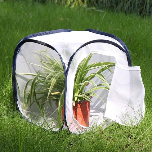 Insect and Butterfly Habitat Cage Terrarium, Pop-up 12 X 12 X 12 Inches