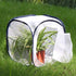 Insect and Butterfly Habitat Cage Terrarium, Pop-up 12 X 12 X 12 Inches