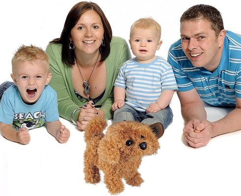 WorWoder Plush Teddy Toy Puppy, Electronic Interactive Pet Dog for Kids, Walking Barking Companion Animal