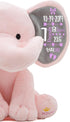 9 Inches Personalized Elephant Stuffed Animal - Custom Birth Stats Announcement Stuff Elephants Animals for Babies