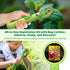 1080P 2 1 3-15 Microscope for Kids with Bug Catcher, HD Digital Handheld Portable Kids Microscope, in STEM Science