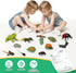 Montessori Life Cycle Learning Toys - Plastic Insect Ladybug, Butterfly & Tadpole-to-Frog Kit for Kids