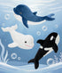 Animal,3PCS Set,Orca Tezituor Whale Stuffed Whales Plush Toys Whale,Beluga Whale,Blue Whale,Gifts for Kids Boys Girls