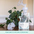 S1 S2 3-Step (Set 2) Motif Medical Pump-to-Bag Electric Breast Pump Adapter -Compatible w/Spectra & Breast Pump - Pump