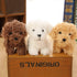 Vel Backpack 5 inch Cute Stuffed Animal Dog Anime Plush Key Chain, Fashion Accessory Clips, Kindergarten Gift, Handbag