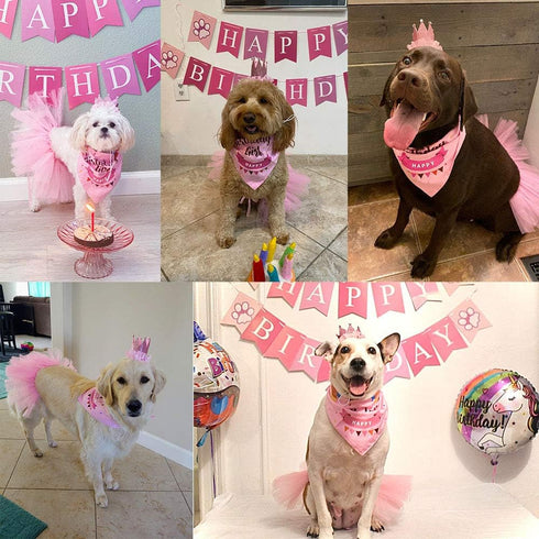 ADOGGYGO Dog Birthday Hat Bandana Set - Pink Tutu Hat Scarf for Medium Large Dogs
