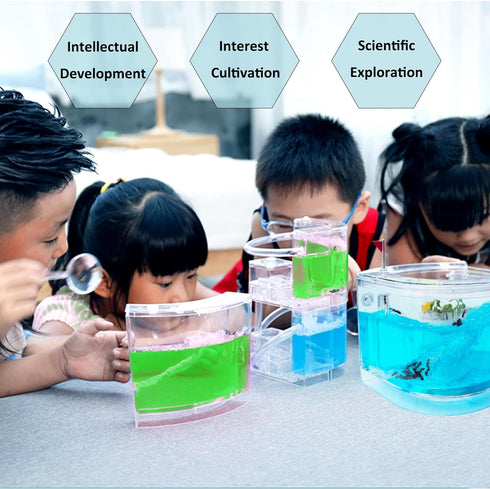 Ant Farm Gel Ant Castle Colony Ecosystem Terrarium Kit for Kids