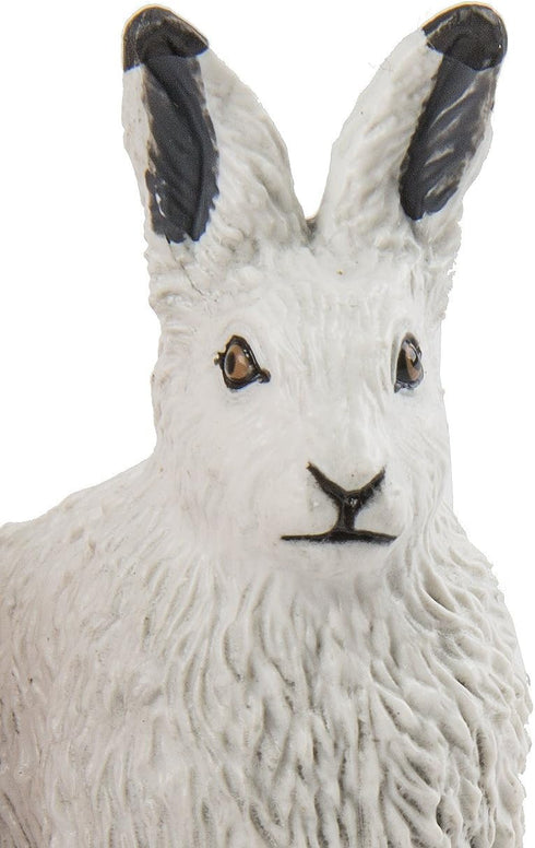 Safari Ltd. Arctic Hare Figurine - 2.5" Detailed Plastic Model Figure for Boys, Girls & Kids Ages 3+